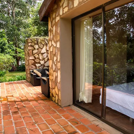 Birdnest Resort-3