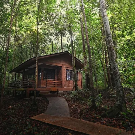 Permai Rainforest Resort-3