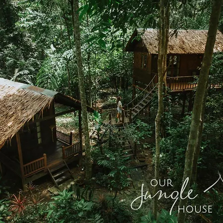Our Jungle House - SHA Certified-2