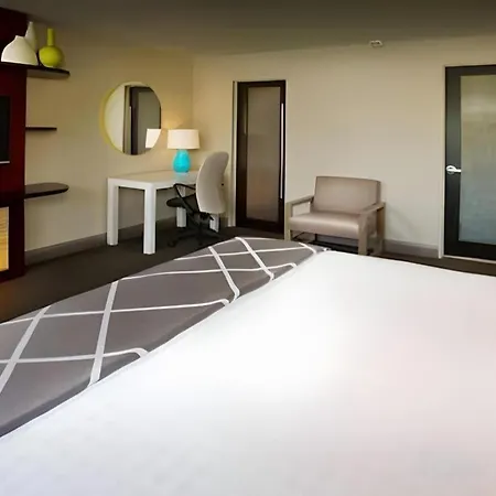 Disney'S Contemporary Resort-2