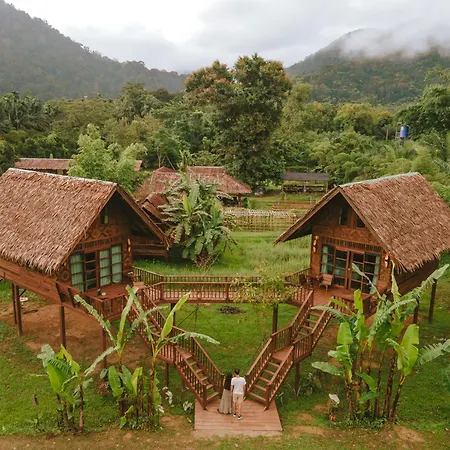 Our Jungle Camp-2
