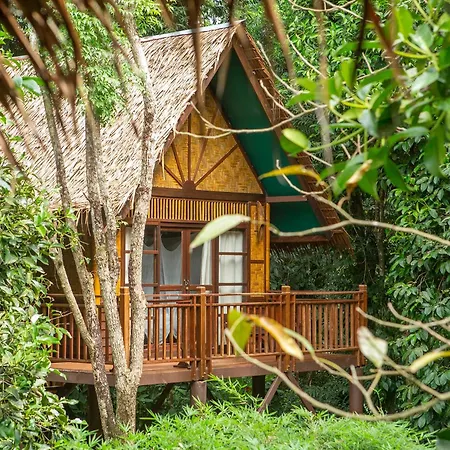 Our Jungle Camp-2