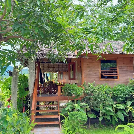 The Nest House-2