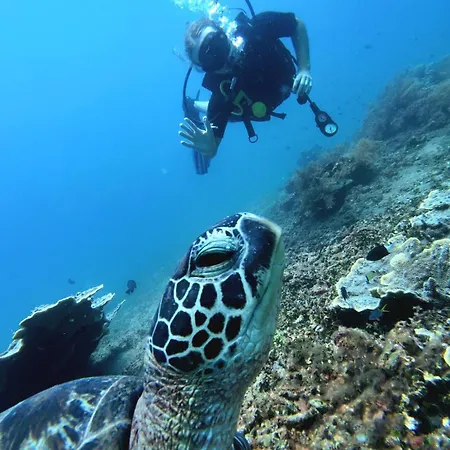 Kura Kura Divers Lodge-3