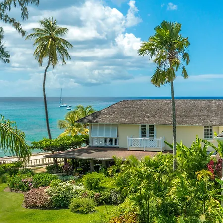 Coral Reef Club-2