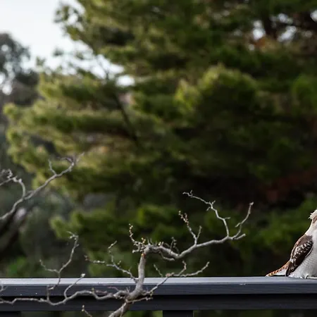Shizuka Ryokan Japanese Country Spa & Wellness Retreat-2