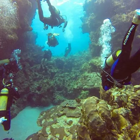 Green Turtle Club Resort & Marina-2
