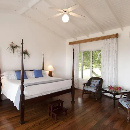 Montpelier Nevis-3