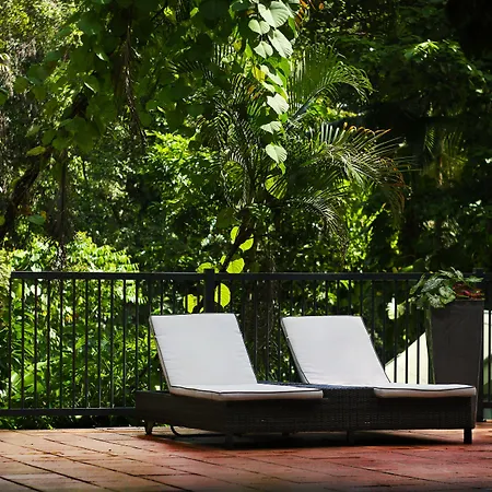 Daintree Ecolodge-3