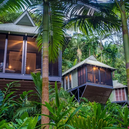 Daintree Ecolodge-2