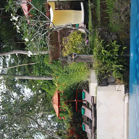 Kupu Kupu Barong Villas And Tree Spa-2