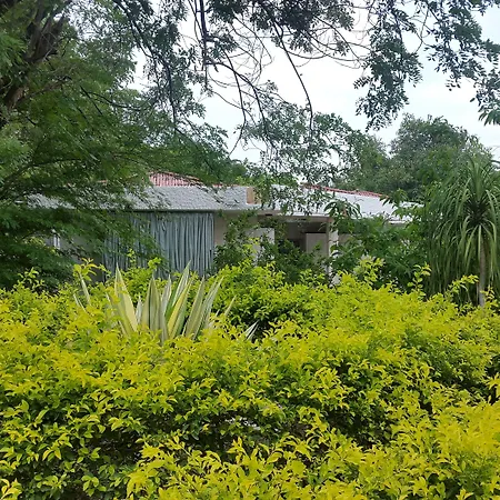 The Meadows Resort And Spa-3