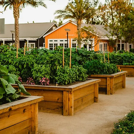 Carneros Resort And Spa-3