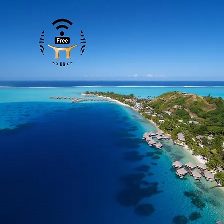 Maitai Bora Bora-3