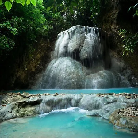 Badian Island Wellness Resort-3