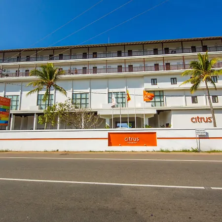 Citrus Hikkaduwa-3