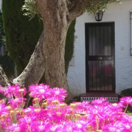 El Capistrano Sur-3