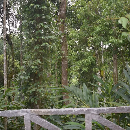 Amritara Shalimar Spice Garden Resort & Spa-3