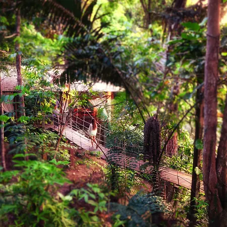 Bunga Raya Island Resort & Spa-2
