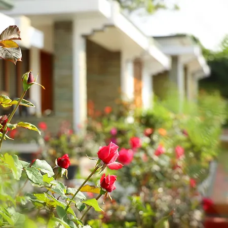 Elysium Garden-3