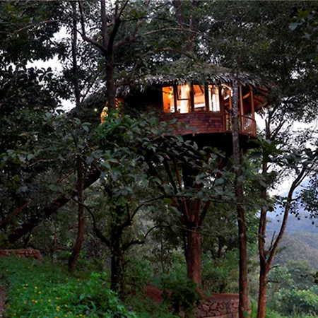 Rainforest Resort-3