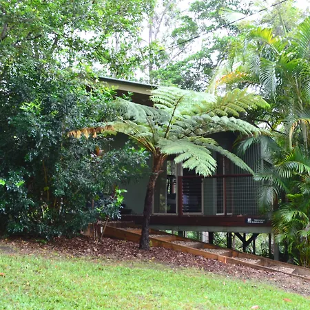 Kondalilla Eco Resort-2