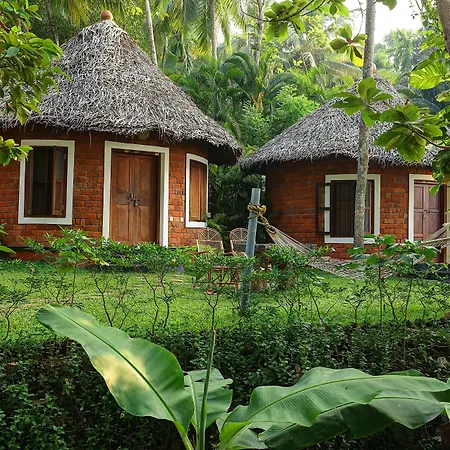 Soma Manaltheeram Ayurveda Beachvillage-3