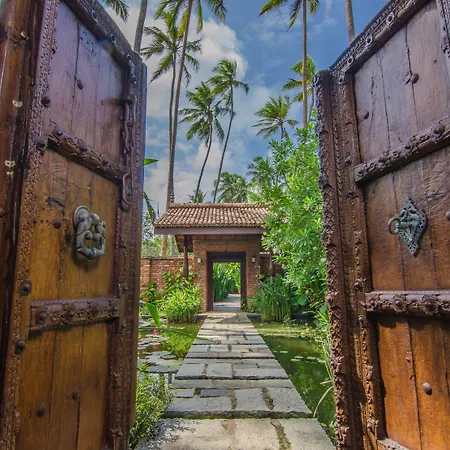 Reef Villa-2