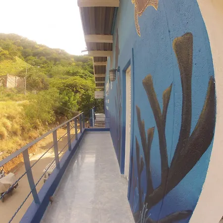 Tayrona Dive Center-3