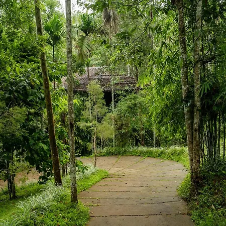 The Woods Resorts Wayanad-2