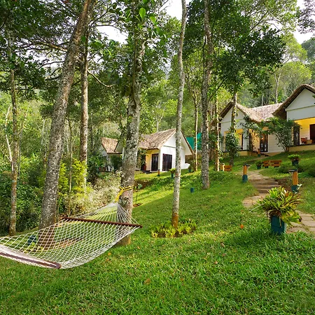 Niraamaya Retreats Cardamom Club-3