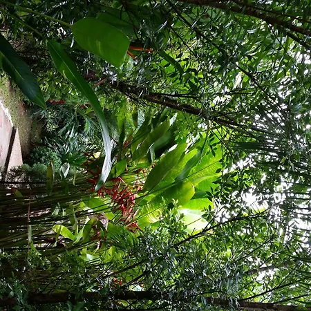 Hotel Khaosok And Spa-3