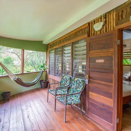 Bocawina Rainforest Resort-2