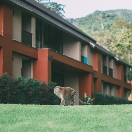 Tonsai Bay Resort-3