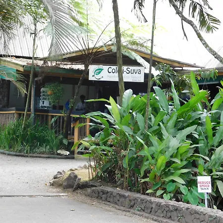 Rainforest Eco Lodge-3