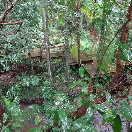 Treetops Montville-2