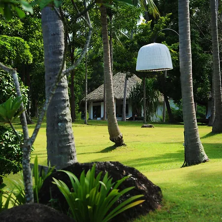 The Jungle Club-3