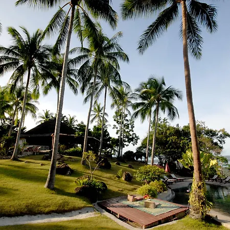 The Jungle Club-2