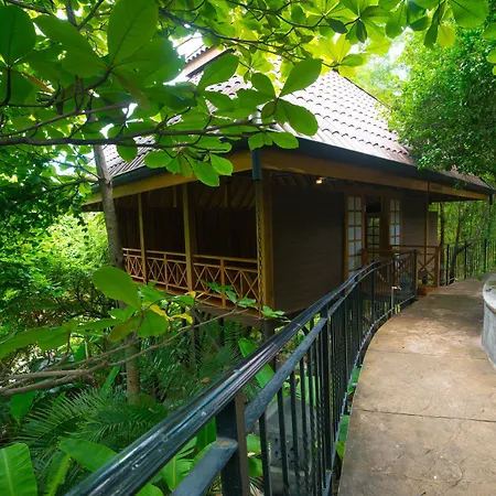 Bodhi Tree Yoga Resort-2