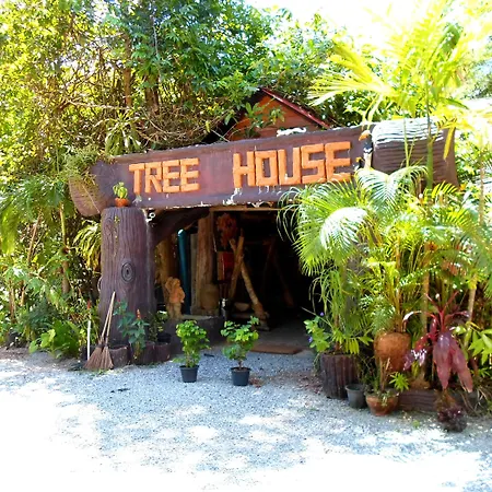 Khao Sok Tree House Resort-3