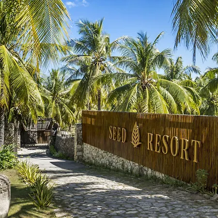 Seed Resort-2