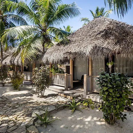 Seed Resort-3
