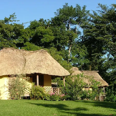Tanager Rainforest Lodge-3