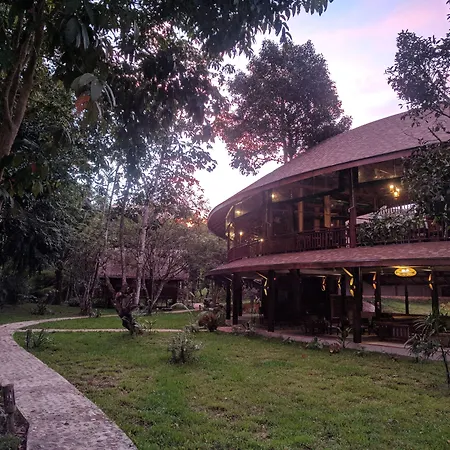 Our Jungle Camp-3