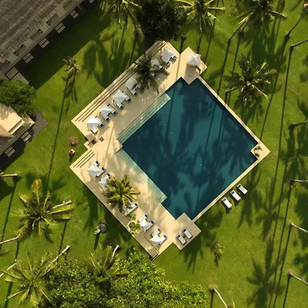 Alila Manggis-2