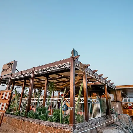 Aladdin Beach Resort - Families And Couples Only-2