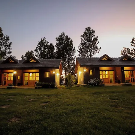 Logan Camp Ooty-3