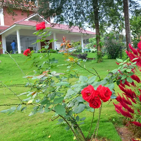 Lakerose Wayanad Resort-2