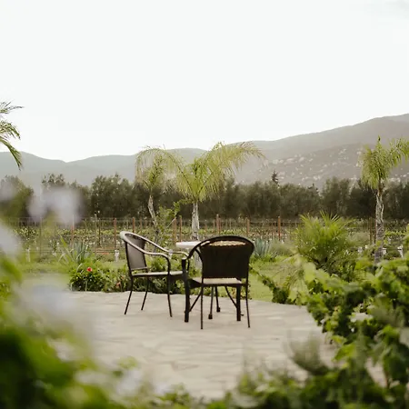 Sueños Resort-2