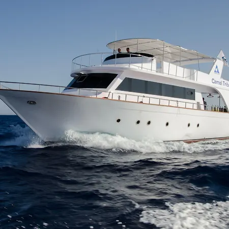 Camel Dive Club & Boutique Hotel-3